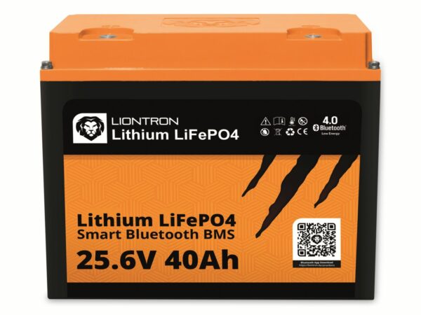 LIONTRON LiFePO4 LX